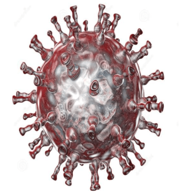 Screenshot_2020-07-03 chickenpox2019micropresentationosama-190902105618 pdf