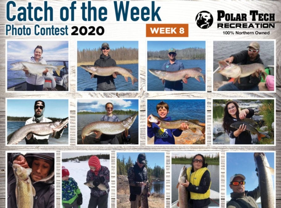 a catch of the week - week8 700 x 600