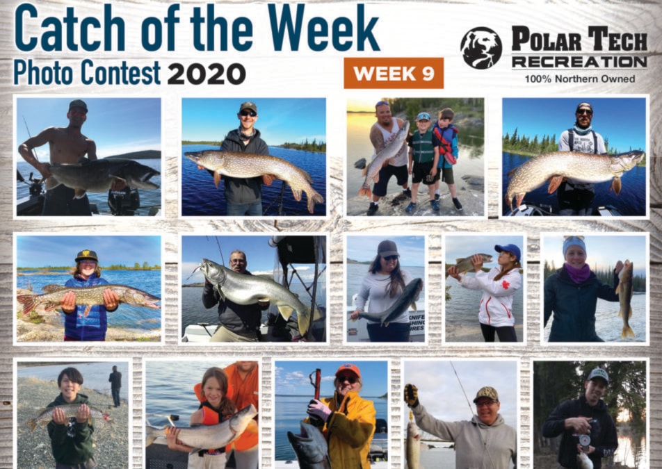 a catch of the week - week9 700 x 600