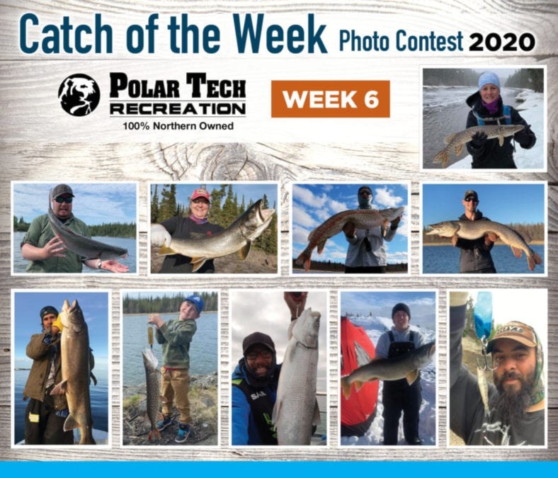catch of the week - week 6 700 x 600