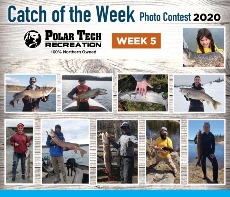 catch of the week - week5 700 x 600