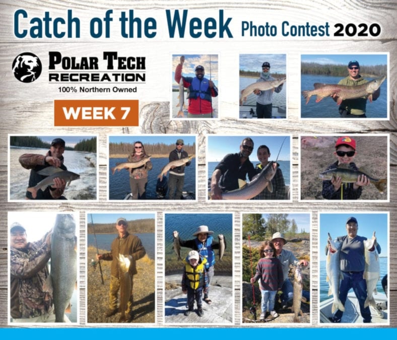 catch of the week - week7 700 x 600