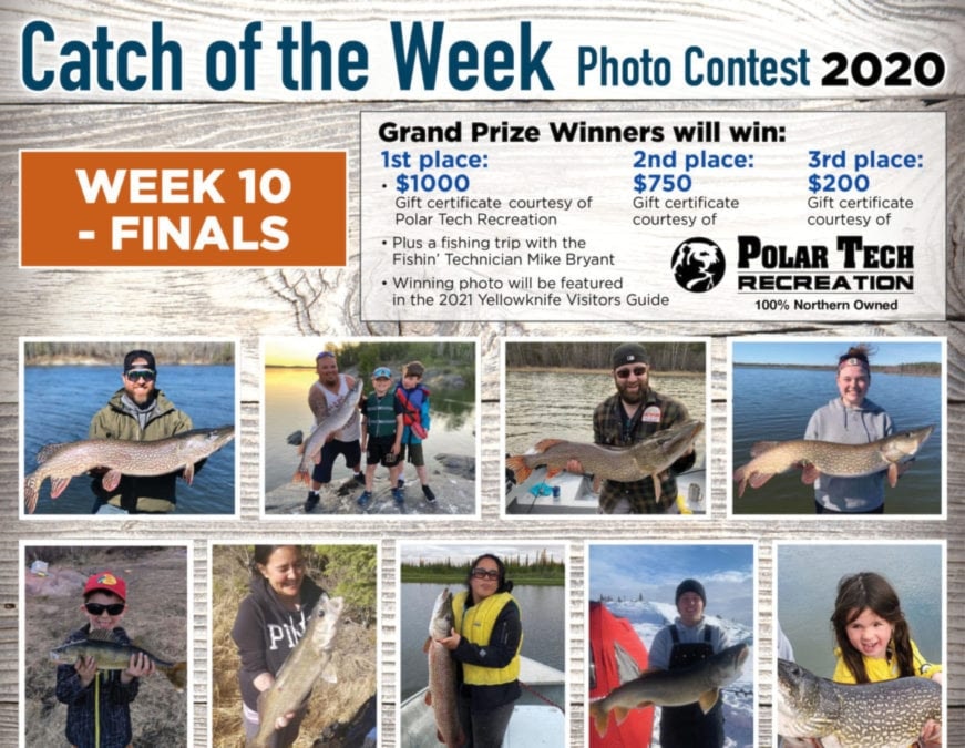 A catch of the week - week10 finals 700 x 600