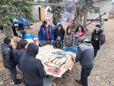 Traditional instructor Michael Sanderson teaches youth how to prepare dryfish at a fish camp organized by Rivers East Arm Tours in June. James Marlowe photo