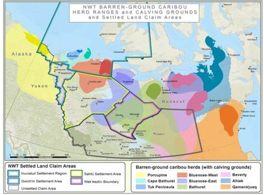 ENR caribou map