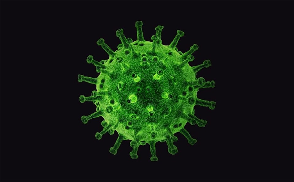 virus-4958150_1920