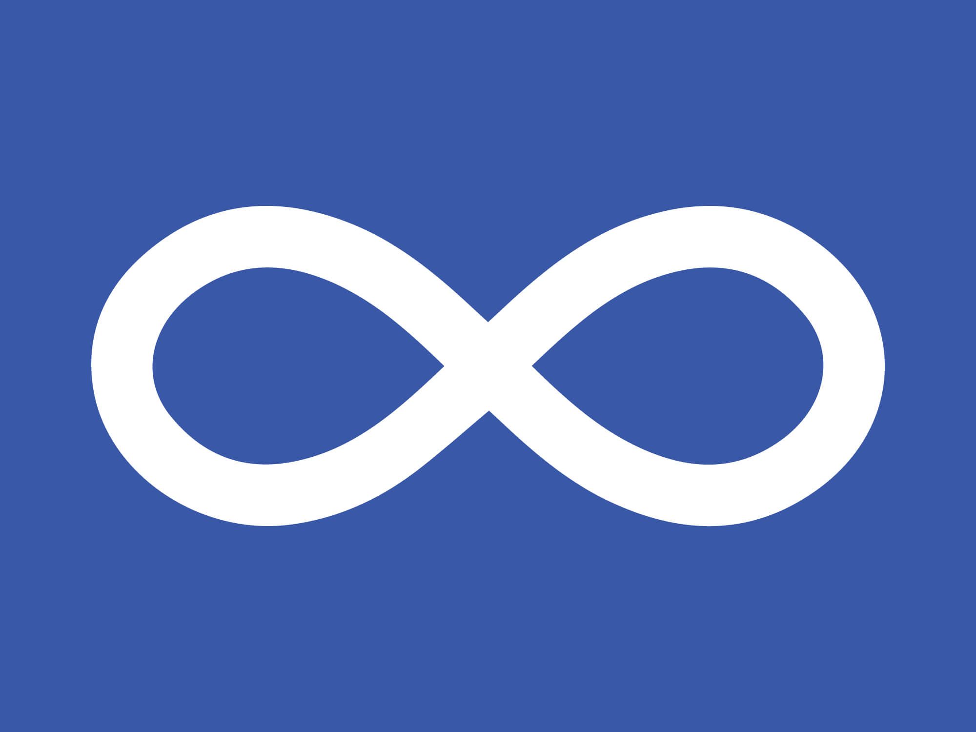 Metis-Flag-vector