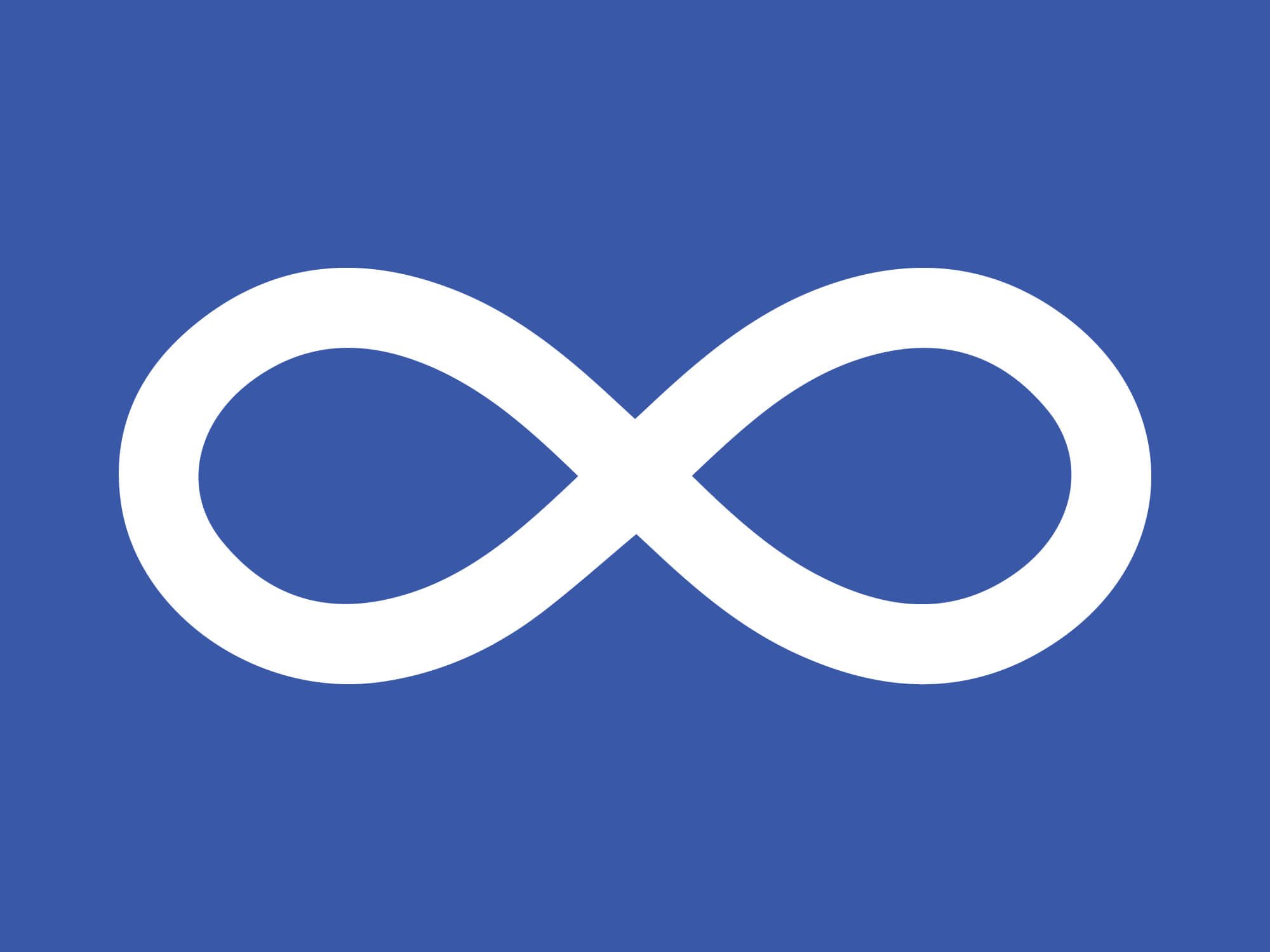 Metis-Flag-vector