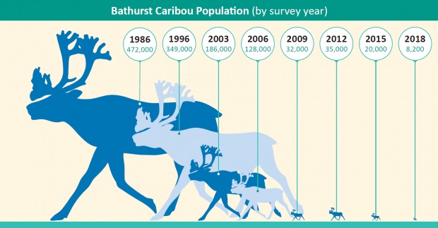 Public Input on Bathurst