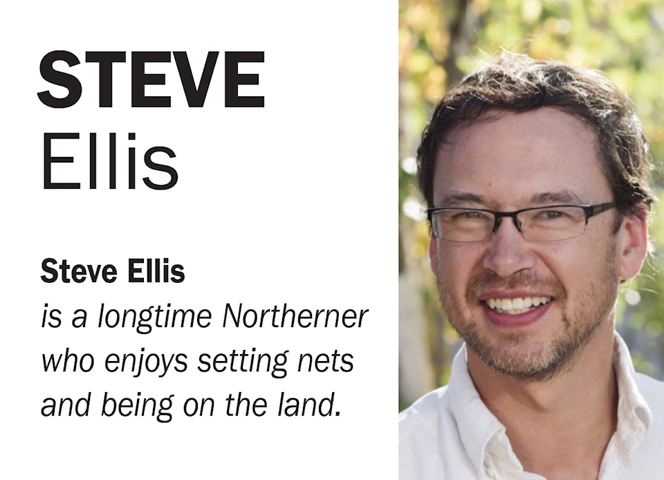 Columnist Steve Ellis