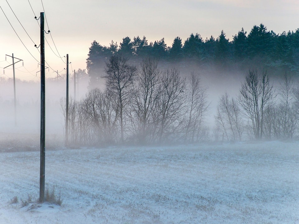Telephone poles by a snowy road in Valleviken, Gotland