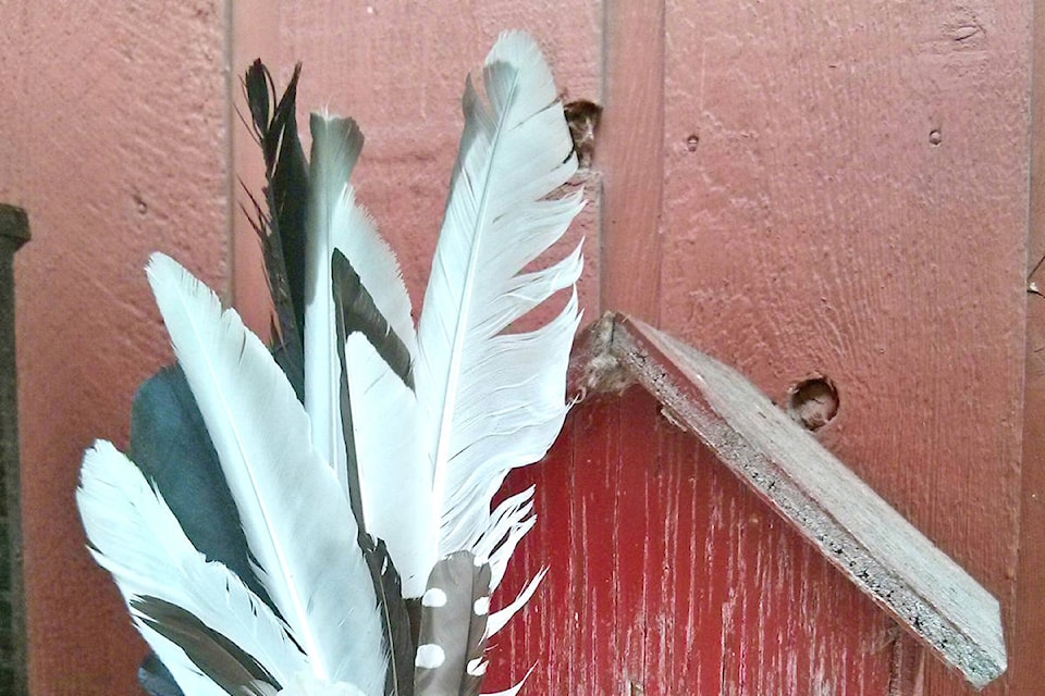 26035850_web1_210806-YEL-dump-feathers_1