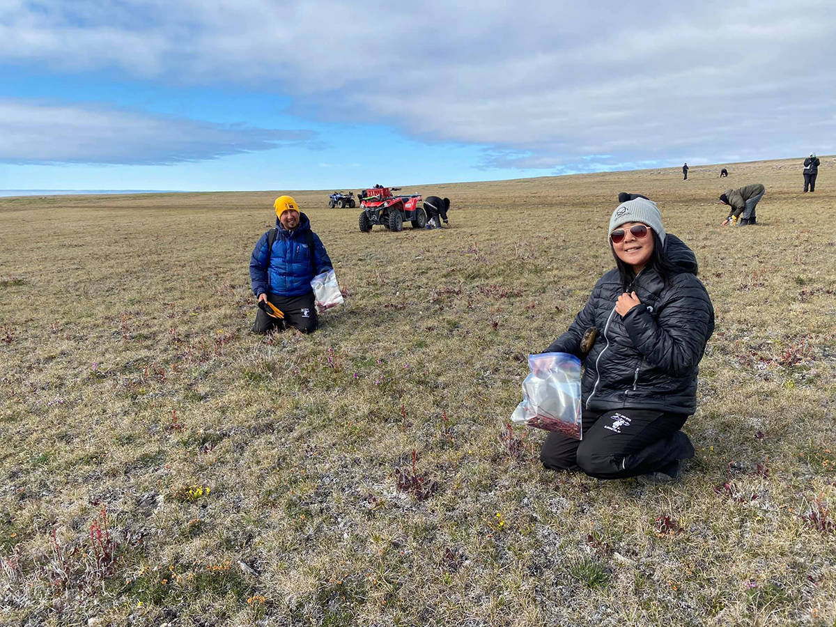 Petra and Brian Kowikchuk collect berries during the Ulukhaqtuuq Youth Wellness Gathering July 25-30. Participants learned about the different plants in the area and how they can be used for food or medicine. Photo courtesy of Western Arctic Youth Collective
