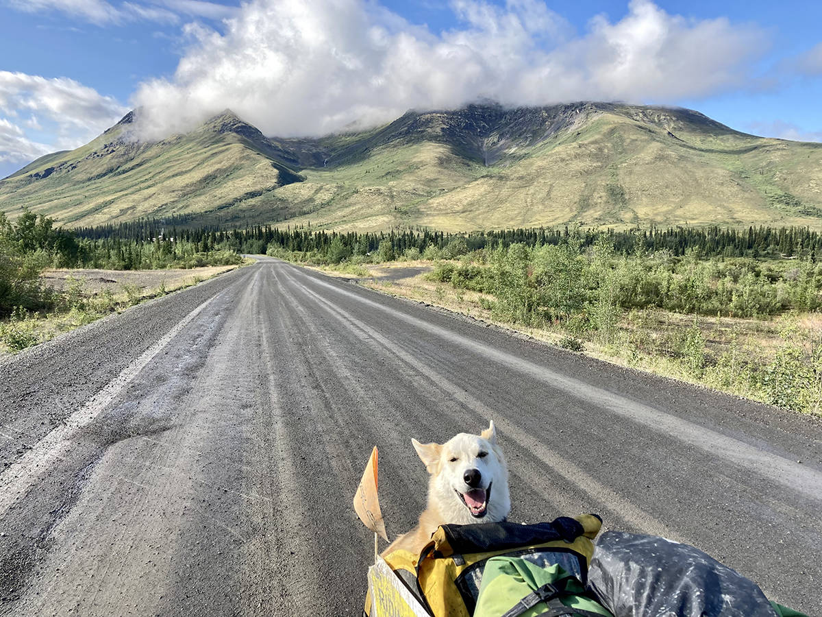 Cinder is all smiles as her companion Paul Hayes takes her up the hills as they cross into the Northwest Territories. The duo are making their way to the Arctic coast to raise money for an animal rescue society. Photo courtesy of Paul Hayes