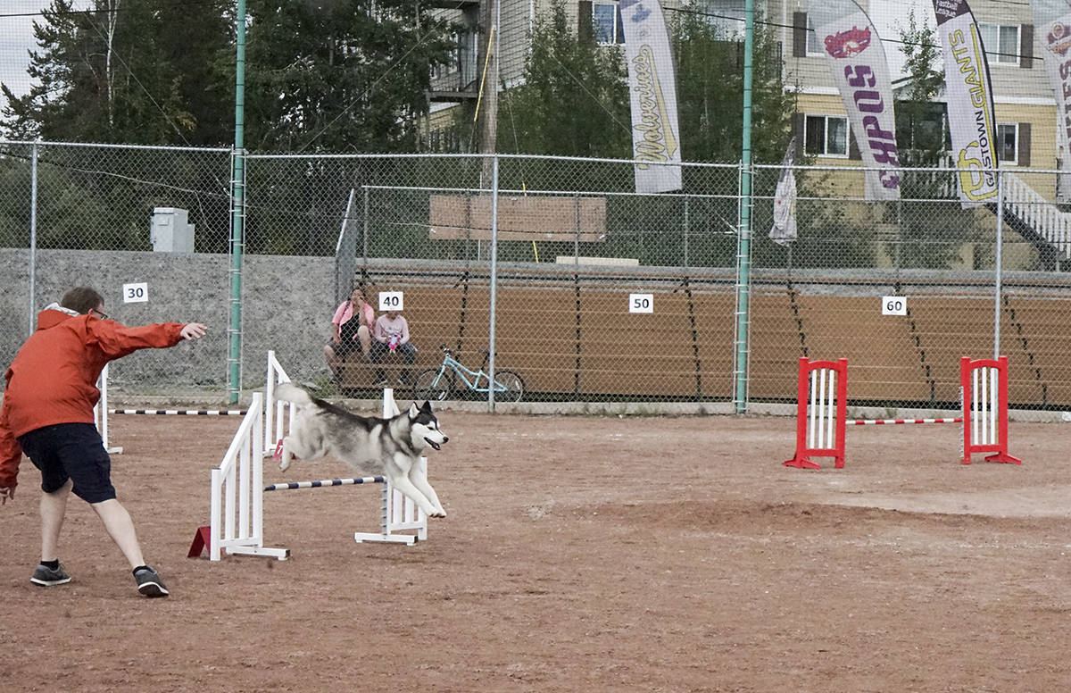 Kili the husky jumps fences with Kevin Mckie at the Rruff Diamonds Dog Agility meet on Aug. 29. Andrea Eymann/NNSL photo