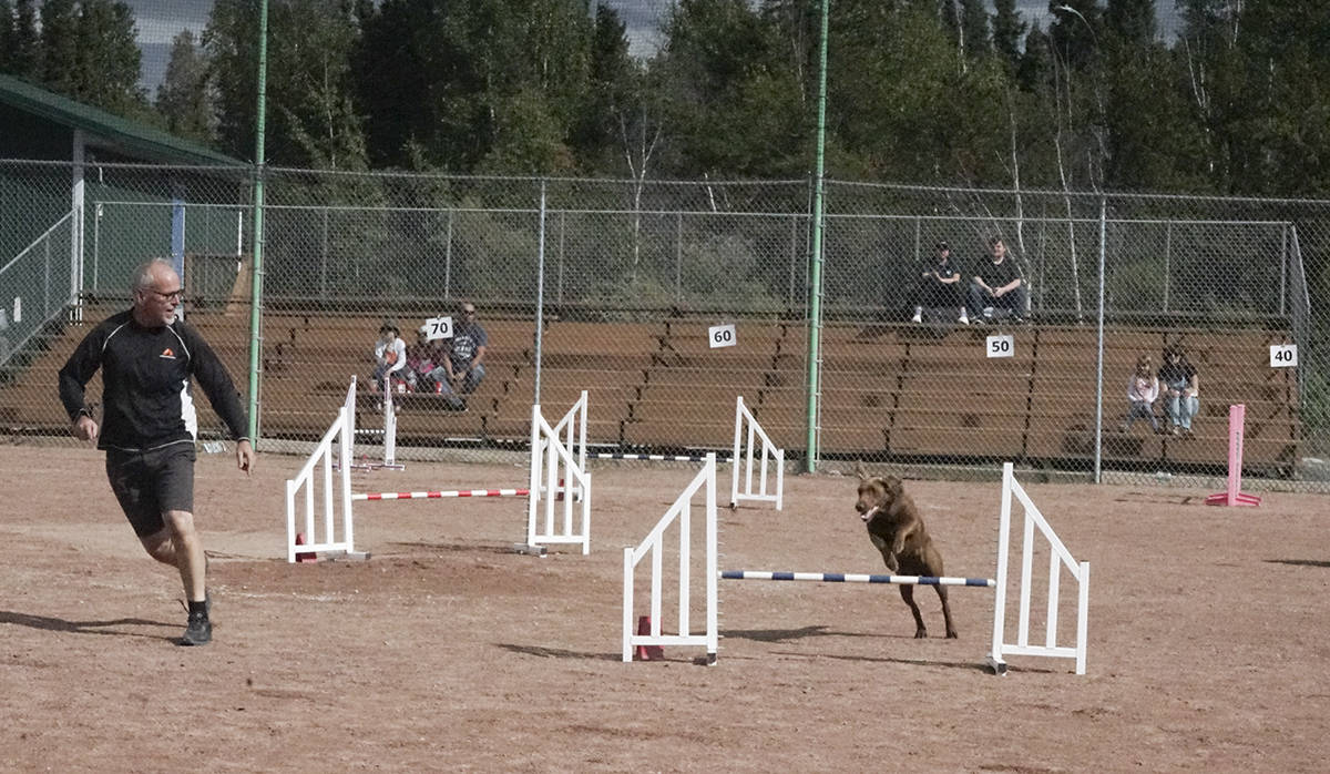 26311736_web1_210901-YEL-dogagility-jumpingdogs_5