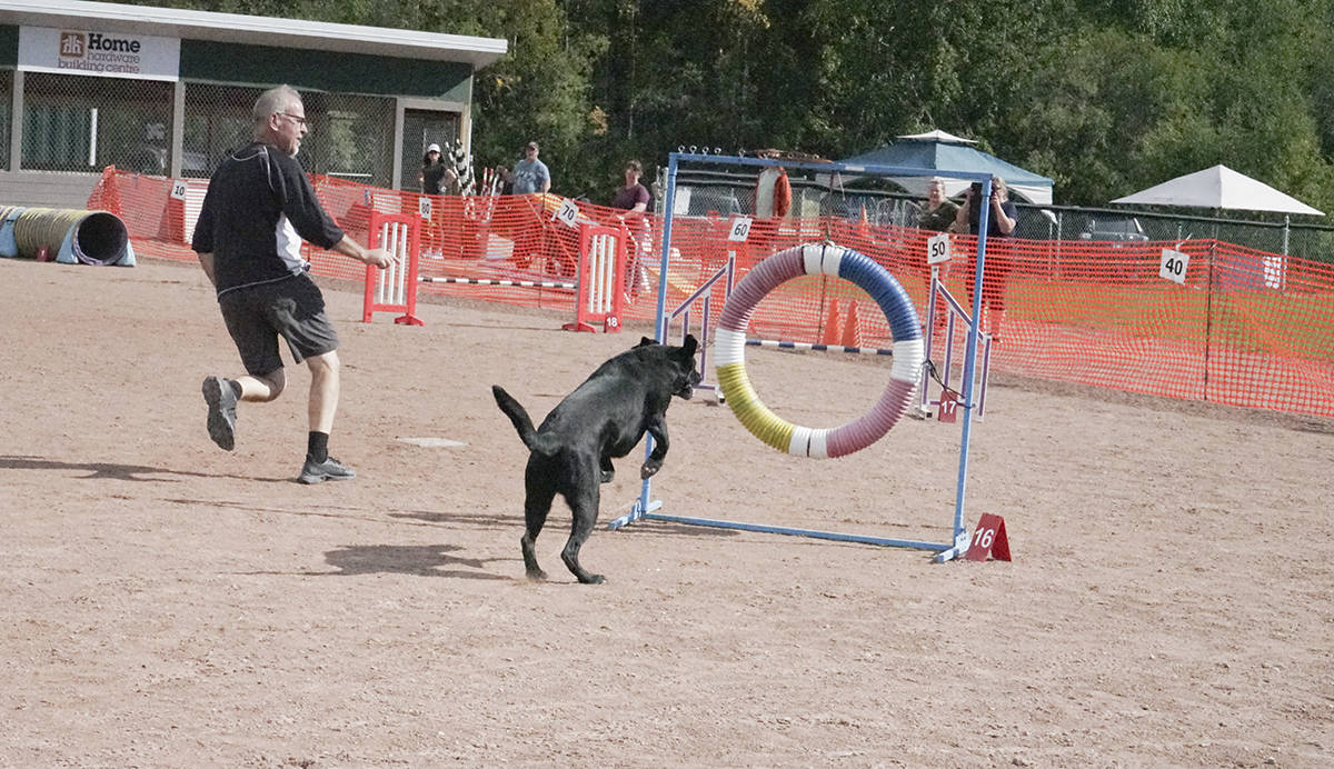 Timber jumping through hoops with Franz Zuiba. Andrea Eymann/NNSL photo