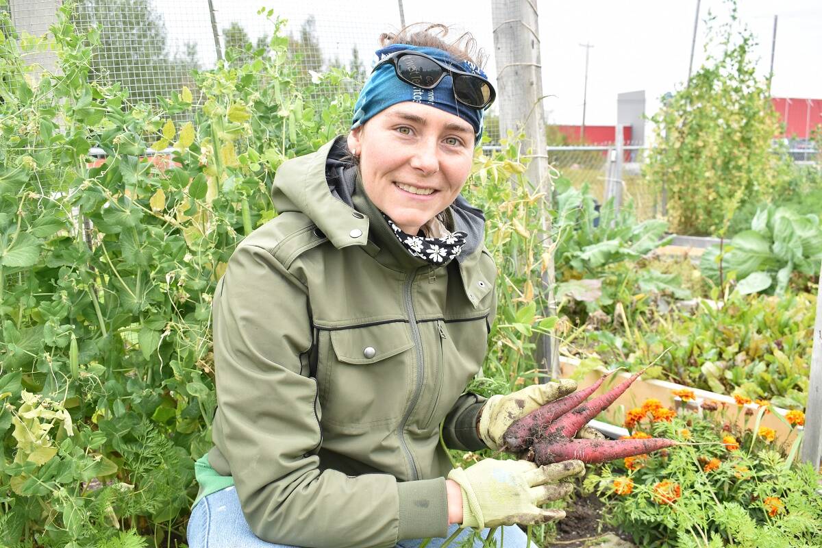 Carrots can survive a few weeks longer even after the first frost appears, said Katherine Ades, at her community garden plot near Woolgar Avenue. Blair McBride/NNSL photo