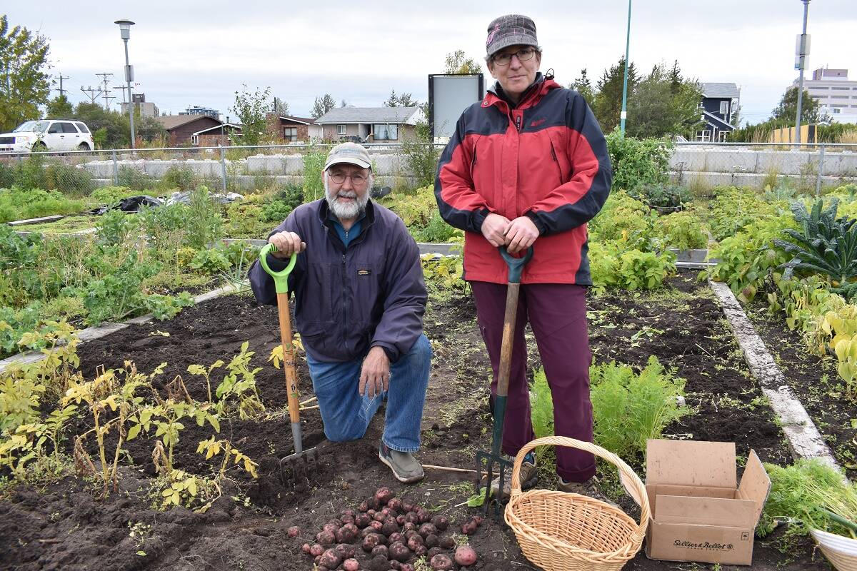 Bob Reid, left, and Suzanne Carriere have tended their plot at Weledeh for five years. Blair McBride/NNSL photo