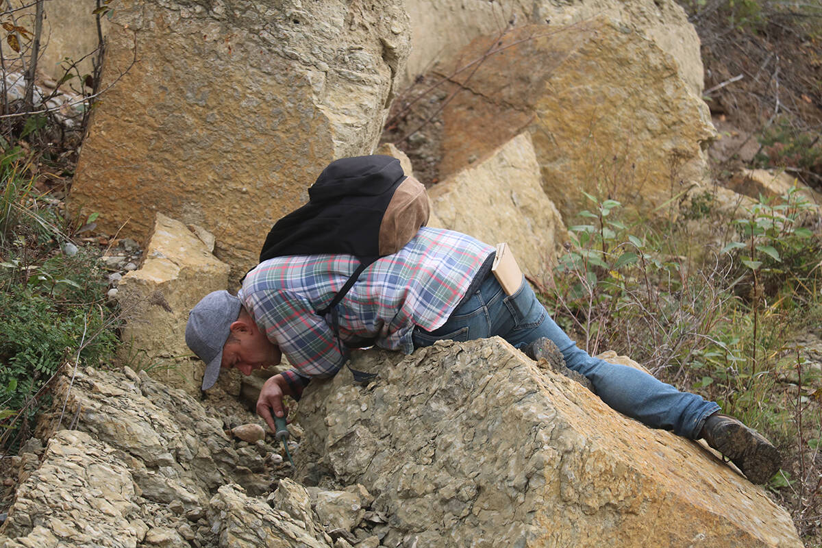 26540503_web1_210922-HAY-FossilWalk-Fossils_7