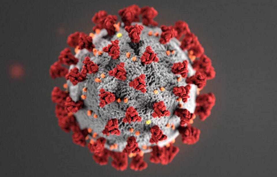 26800596_web1_211013-YEL-Outbreak_1