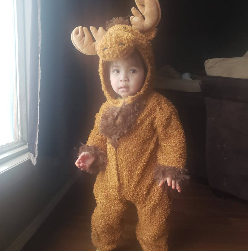 Baby moose halloween costume cheap