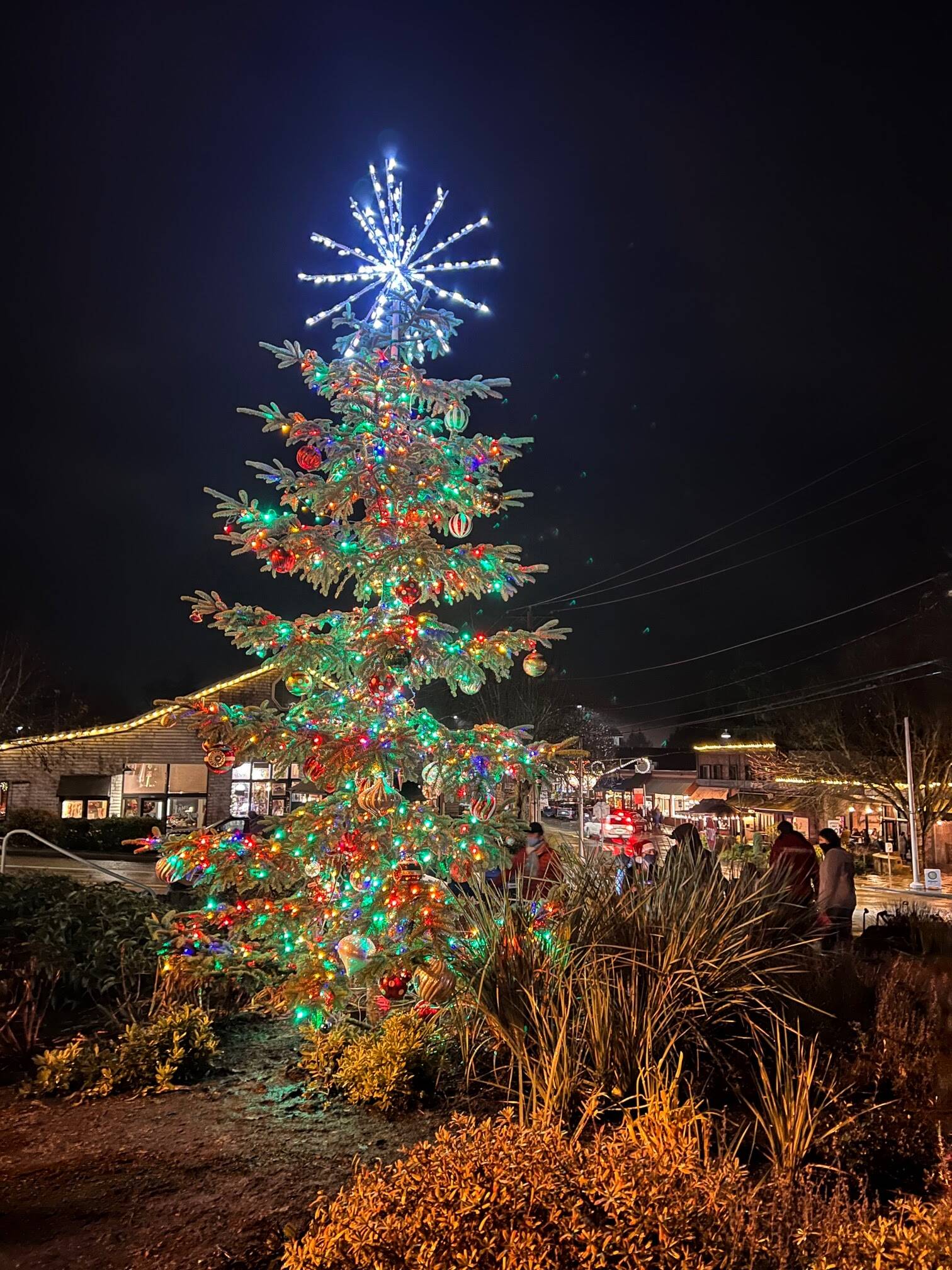 27351593_web1_Tree-lighting-in-Winslow-photos_14