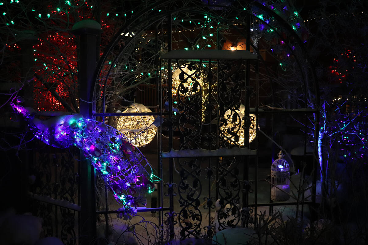 27381661_web1_211203-YEL-HolidayLights-HolidayLights_3