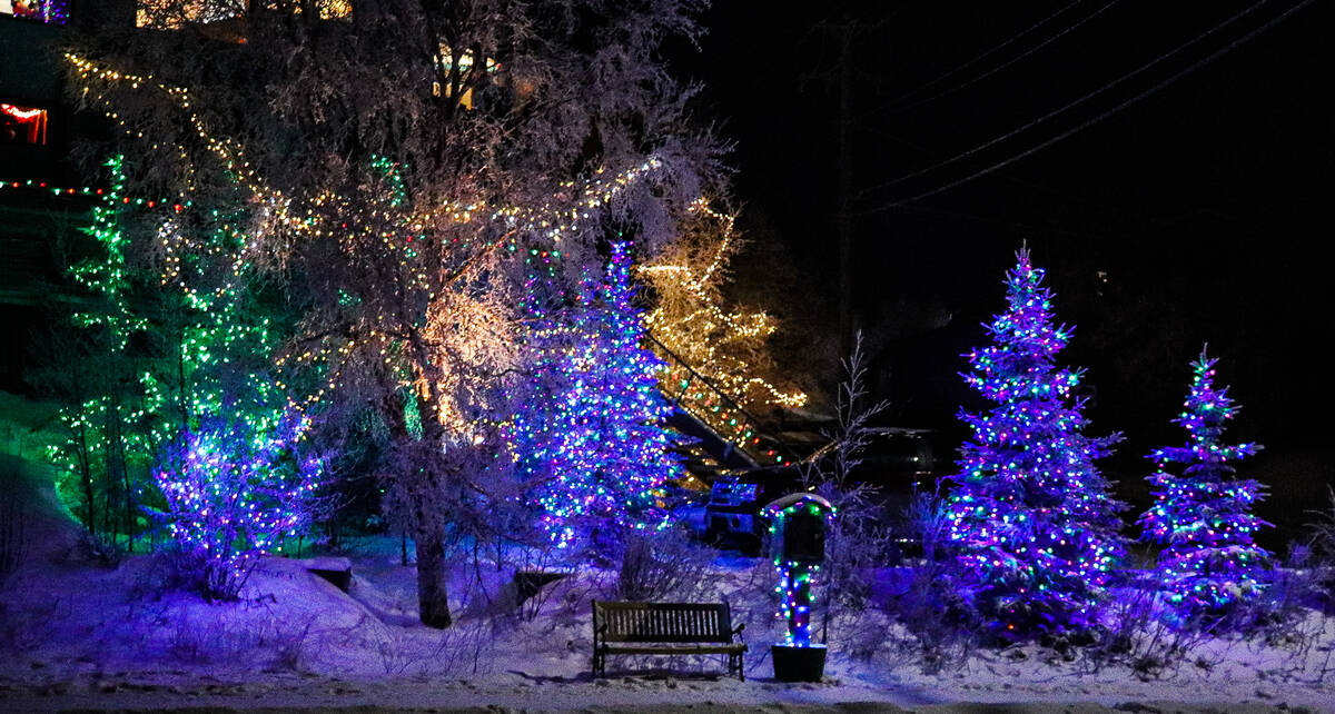 27381661_web1_211203-YEL-HolidayLights-HolidayLights_5
