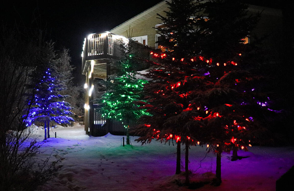 27381661_web1_211203-YEL-HolidayLights-HolidayLights_6