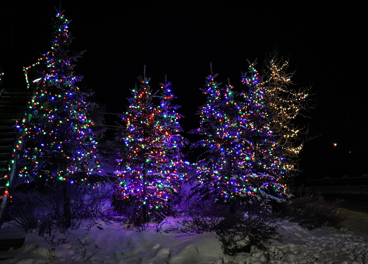 27381661_web1_211203-YEL-HolidayLights-HolidayLights_7
