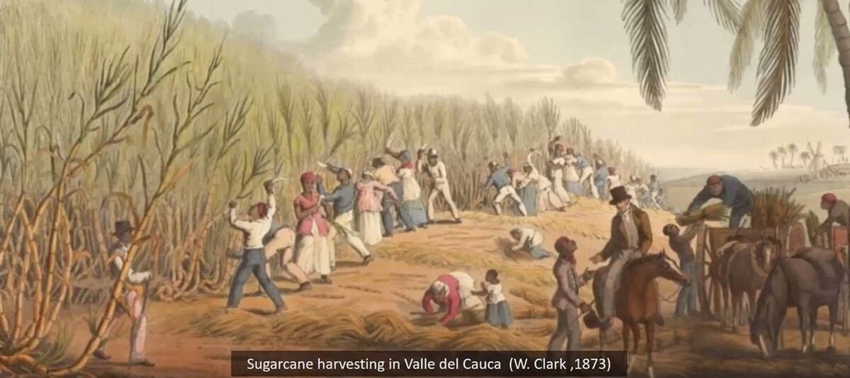 A painting depicts sugarcane harvesting in the 1800s. While colonialism has receded, its shadow remains and much of the world is struggling with its after effects. Screenshot courtesy of Aurora Research Institute