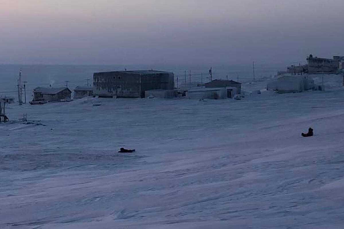 Our Youths of the Week are 聯Avi聰 Avingakpak Esau and Roger Kuptana, seen here sliding down a hill in Sachs Harbour when it was -58 C with the windchill. Avi is in third grade and her favourite subject in school is math. Roger is in grade two and his favourite class is phys ed.
