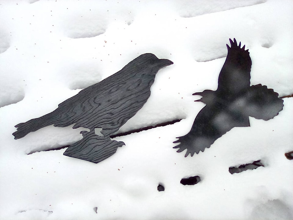 28120590_web1_220211-YEL-dump-birds_1