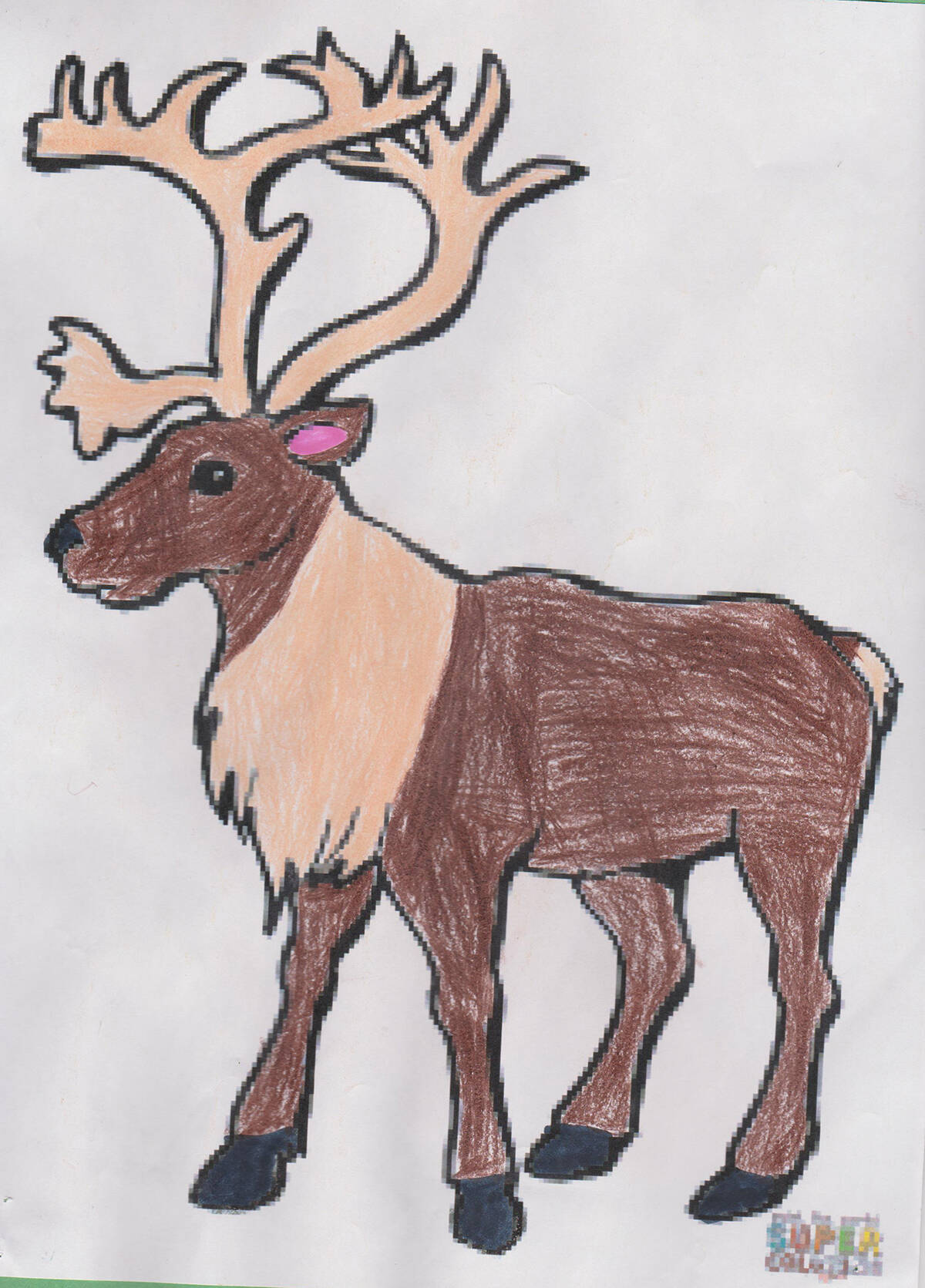 Leon of Angik School in Paulatuk coloured thie Tuktu (caribou) because 聯it聮s tasty.聰 Send your artwork in to the Inuvik Drum and we聮ll showcase it in this space in a future edition! Photo courtesy of Stephanie Yuill
