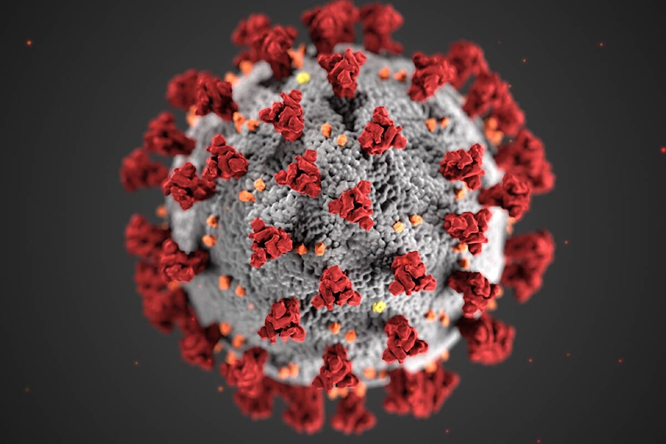 28903935_web1_Coronavirus_3D_illustration_ProperSize