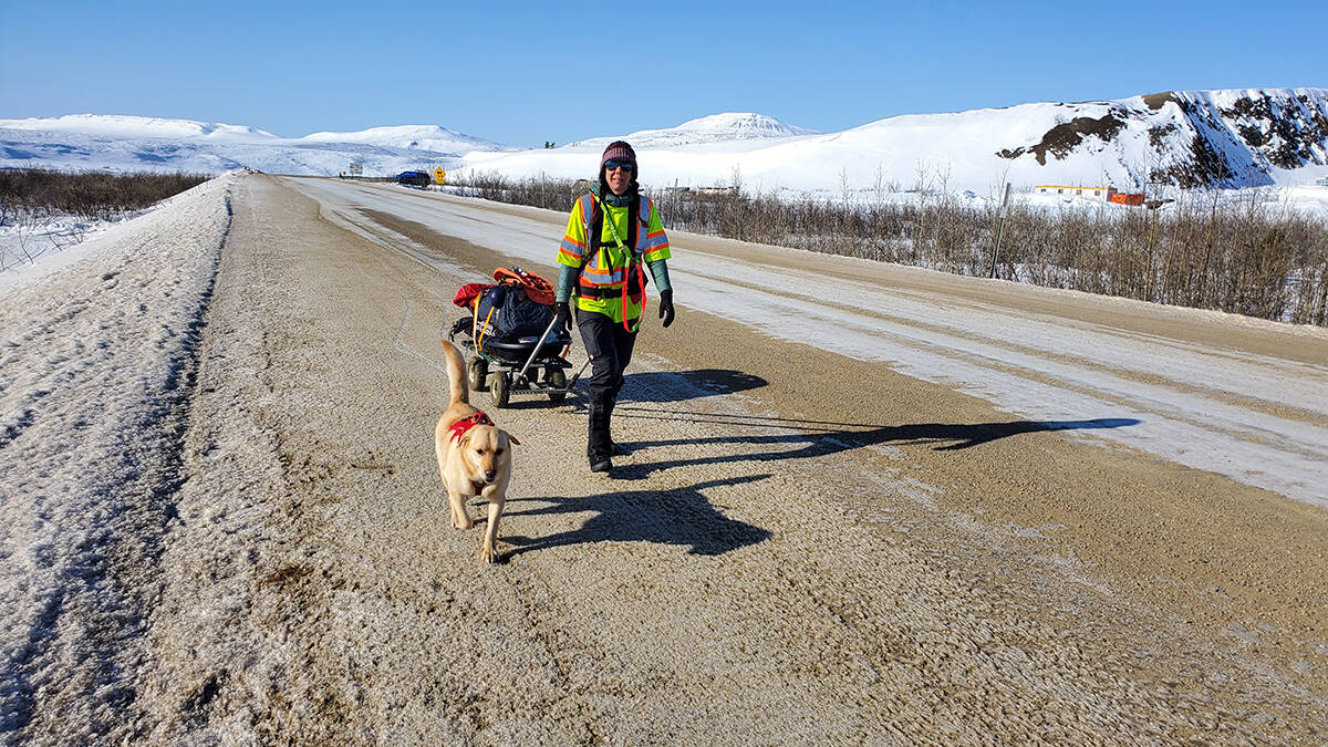 Melanie Vogel and Milo make their way along the Dempster Highway. Photo courtesy of Melanie Vogel