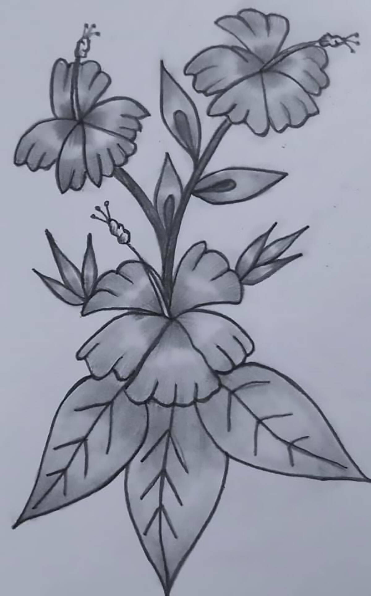 Untitled Flowers by Angelina Joe. Send your artwork to the Inuvik Drum and we聮ll showcase it in this space in a future edition. Photo courtesy of Angelina Joe