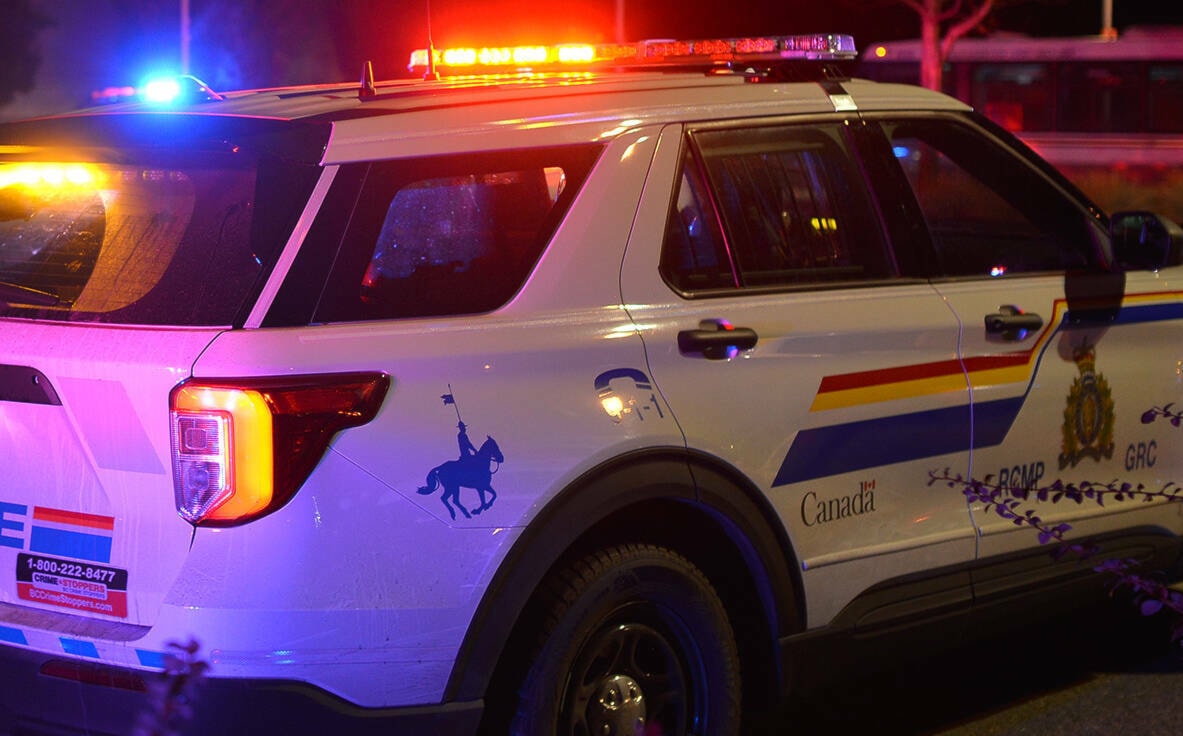 Pair of long weekend arrests made following thefts from vehicles NNSL