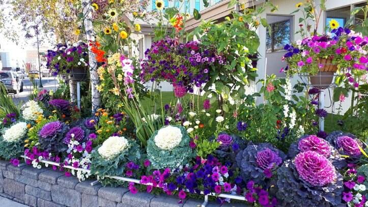 Flowers are usually planted after the May long weekend. It takes a week for the whole team to plant close to 4,000 flowers. Photo courtesy of Doug Snodgrass