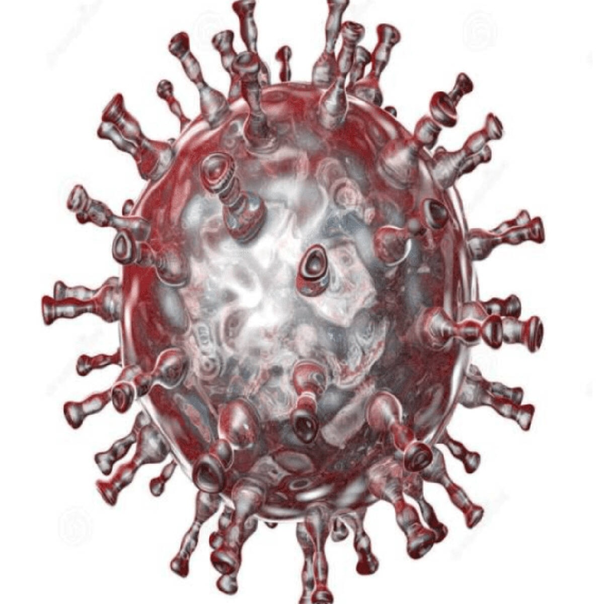 Tuktoyaktuk warned of chicken pox outbreak - NNSL Media