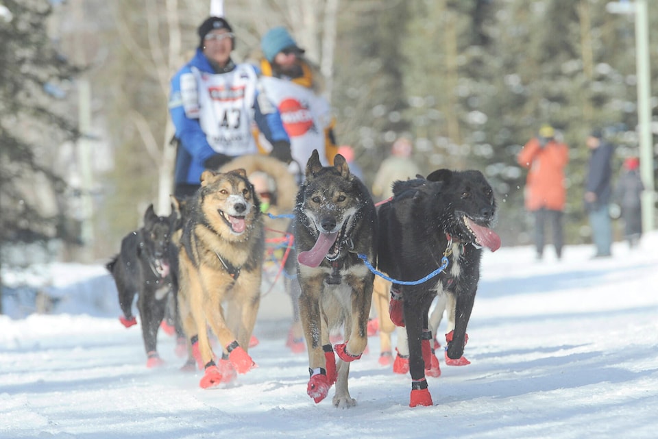 32015351_web1_iditarod2