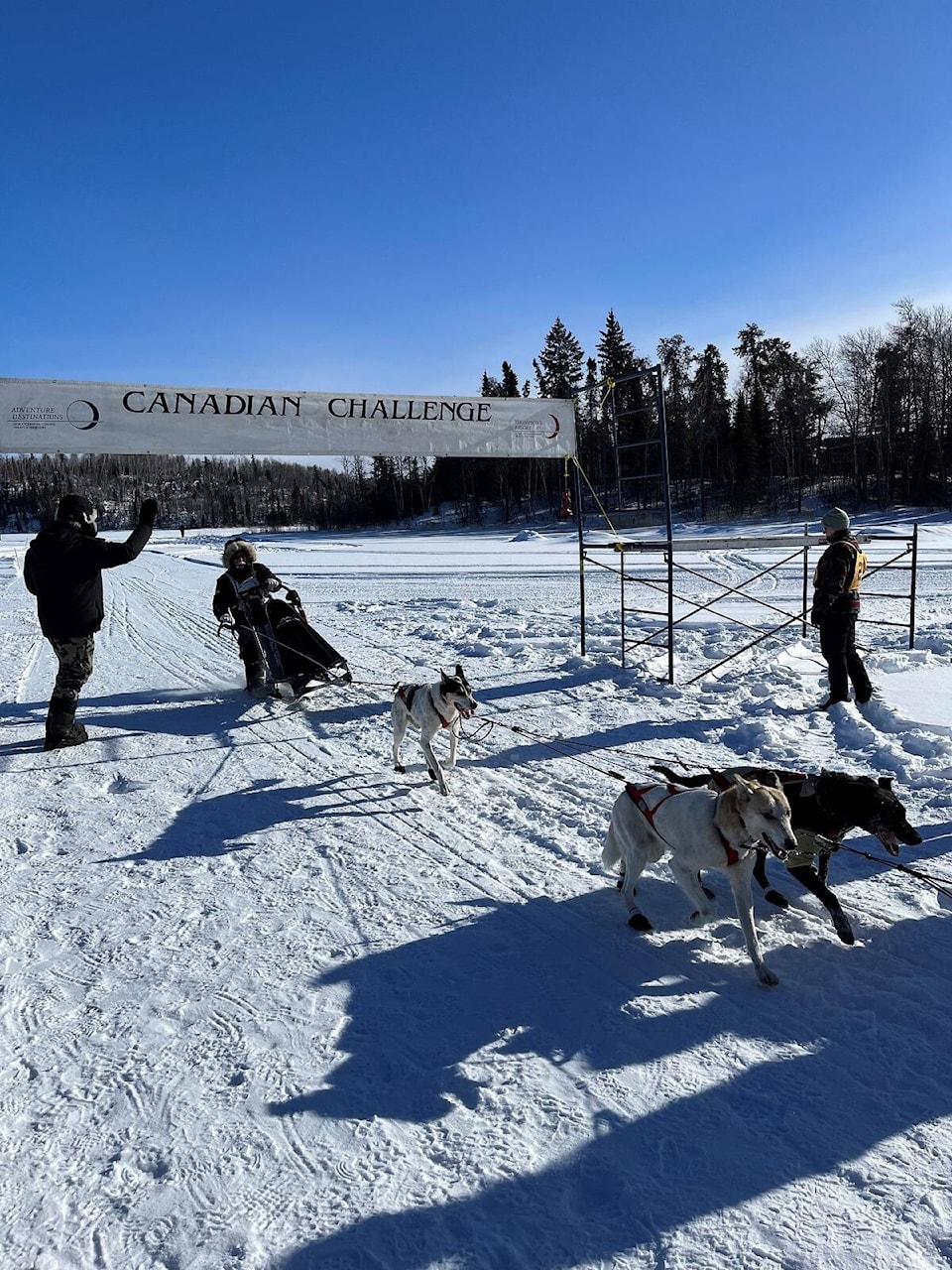 32046388_web1_230308-YEL-DogMushing-Marin_2