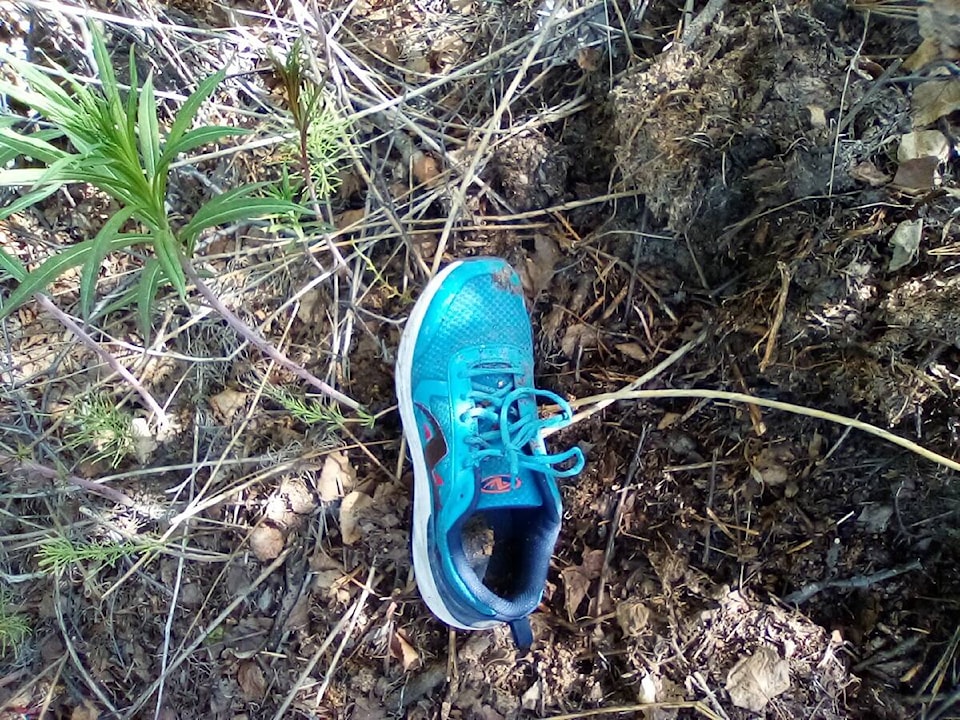 33020332_web1_230616-YEL-TalesFromTheDump-Shoe_1