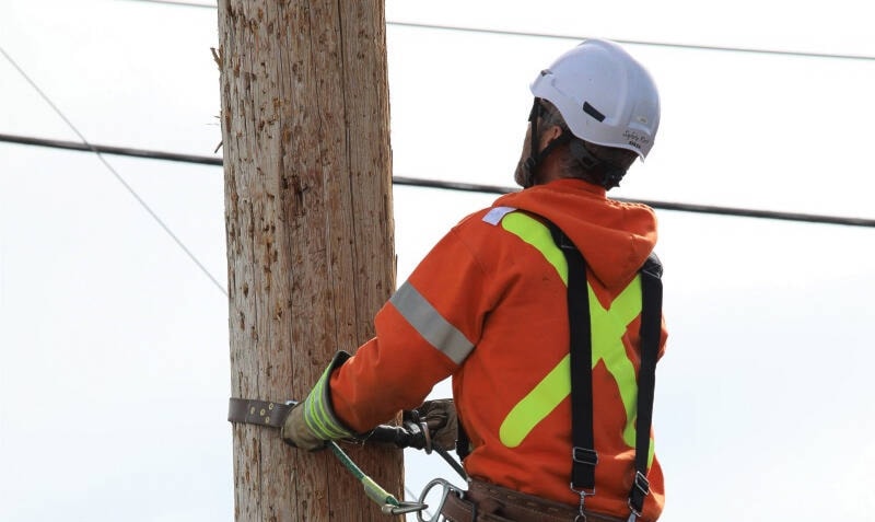 32660120_web1_230612-NNO-OPPS-workforce-NWT_1