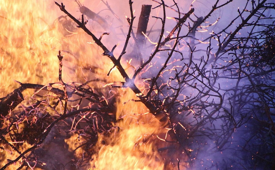 33295553_web1_230714-YEL-ForestTireFire-PIcs_1