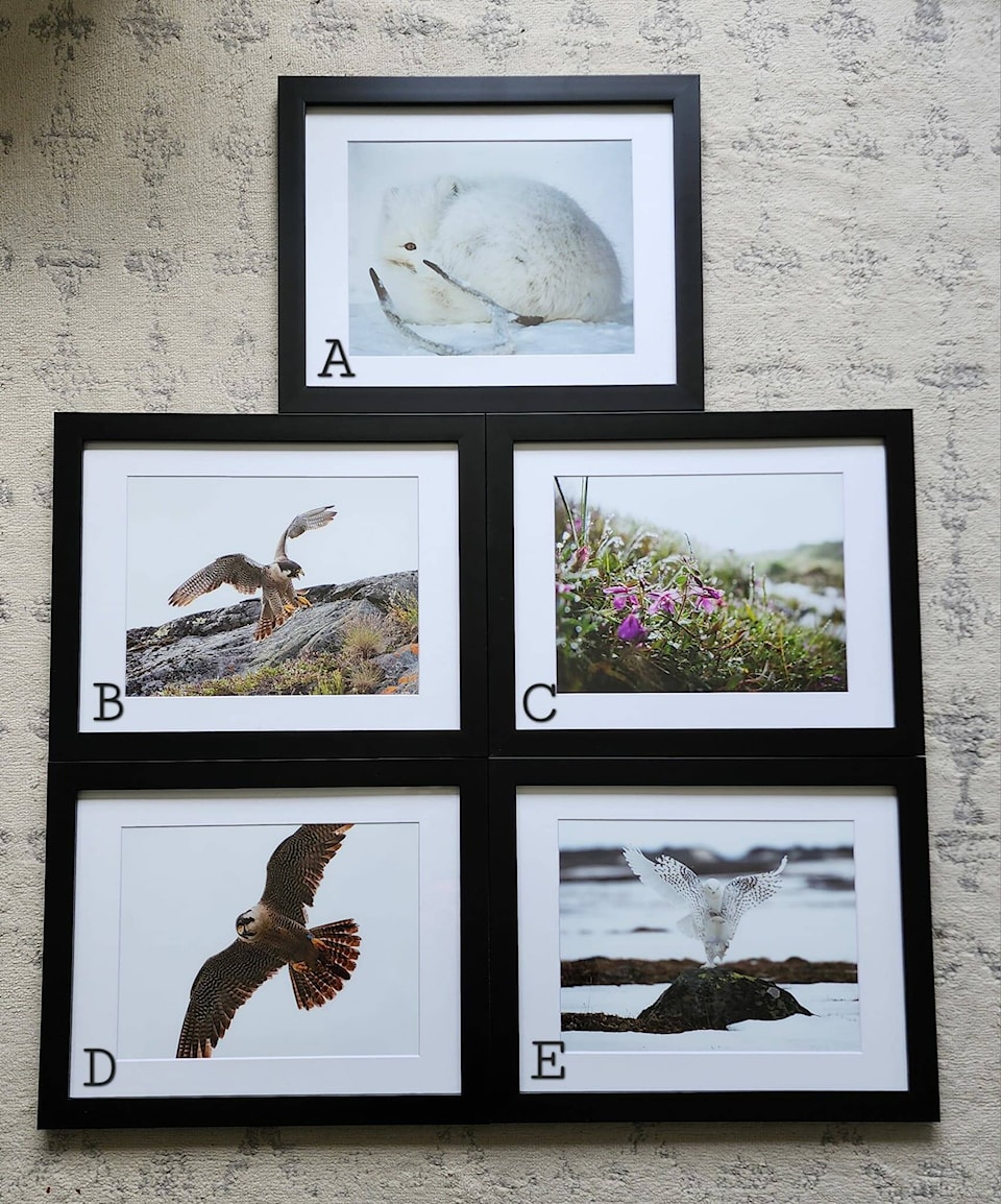 33309013_web1_230719-KIV-wildlifephotography_1