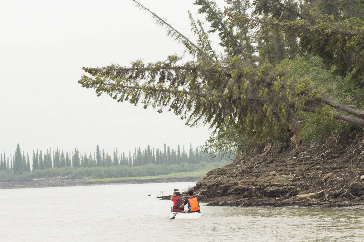 Tim Gordon and Kendall McDonald paddle beneath a hanging tree. Eric Bowling/NNSL photo