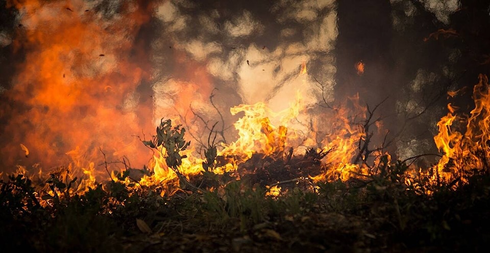 33409570_web1_wildfirecovid-isj-200819-wildfire_1