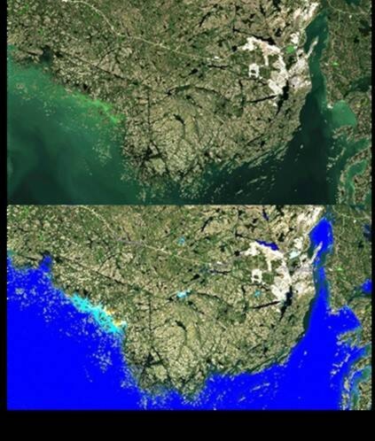 33460294_web1_230802-YEL-Algae-algae2022_1